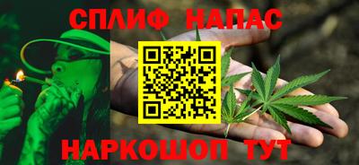 стаф Можга