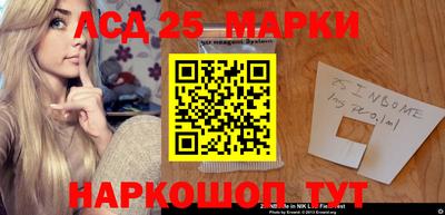 крисы Малгобек
